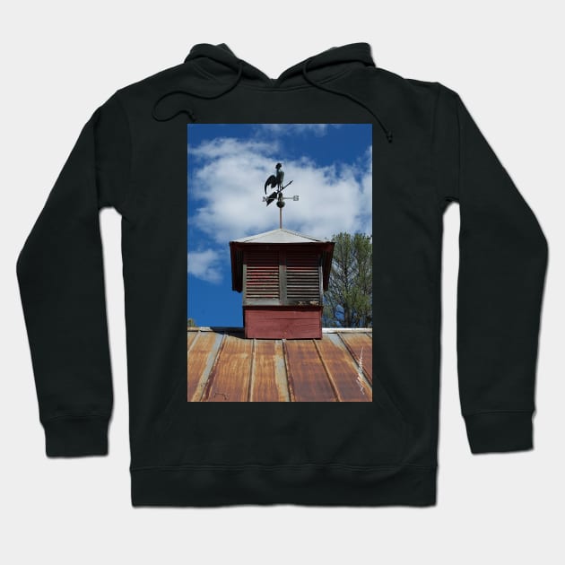 Cupola & Weathervane Hoodie by srwdesign